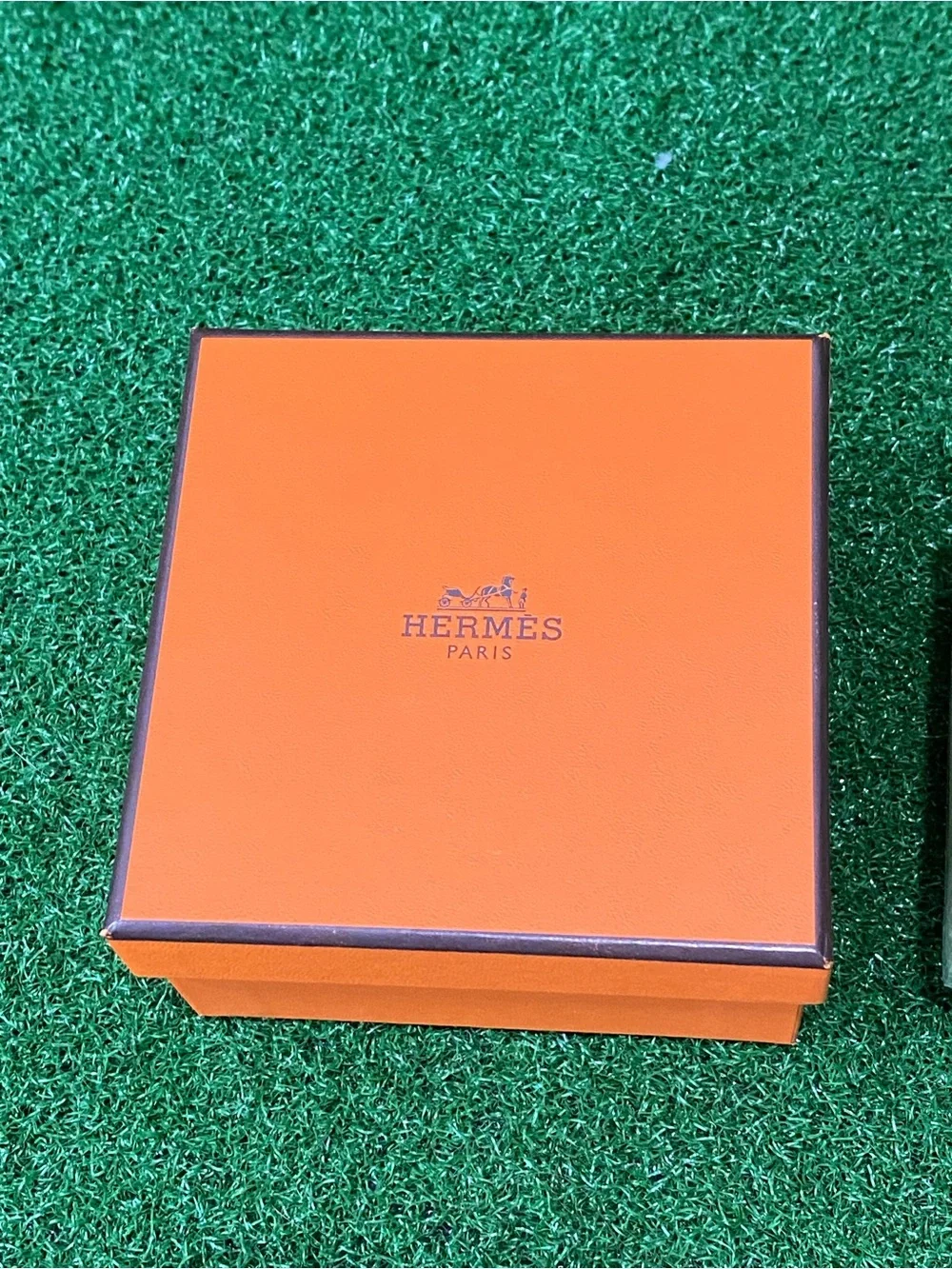 Hermes luxury brand